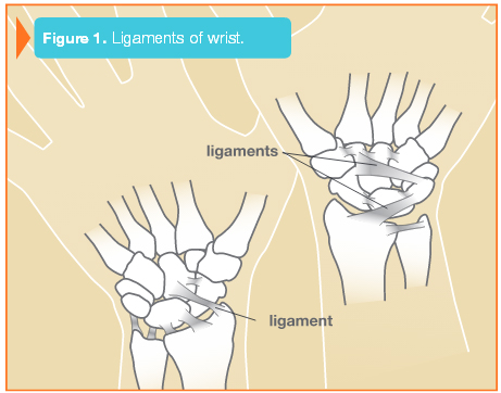 figure-1s